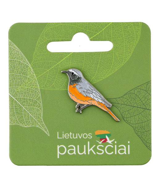 Ženkliukas Paprastoji raudonuodegė